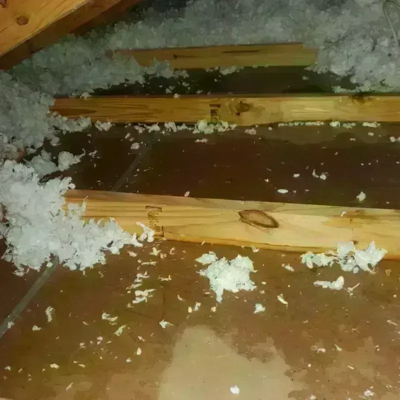 Attic Water Damage in Westover, WV